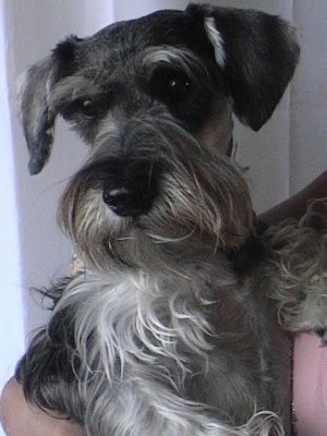 posando!!